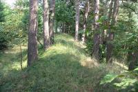 Bobrová