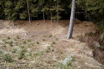 severovýchodní cíp okružního příkopu ( © Pavel Zany Komárek 8/3/2003)