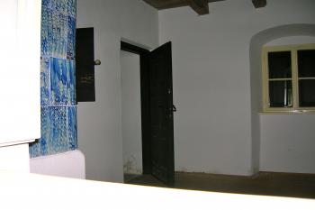  (© Pavel Procházka, 07/2009)