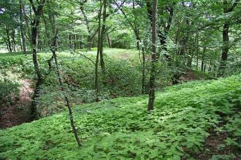 Východní příkop ( © Roman Řezáč 06/2004)