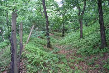 Příkop na západní straně ( © Roman Řezáč 06/2004)