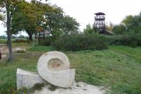 Barborka