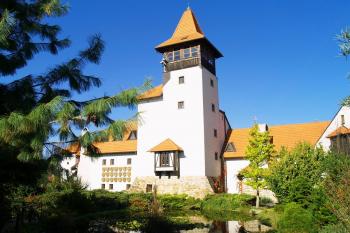 hrad Horní Újezd (© Petr Berka, 10/2010)