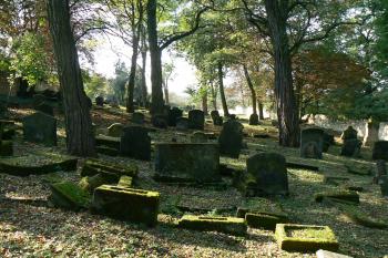  (© Prudký Martin, 10/2010)