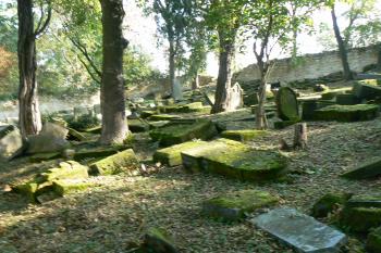  (© Prudký Martin, 10/2010)