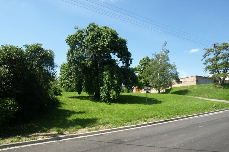židovský hřbitov