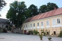 Čestice