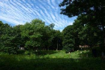  ( © Milan Caha 10/2010)