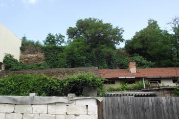  (© Michal Brůža, 05/2011)