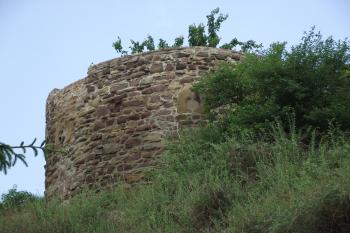  (© Michal Brůža, 05/2011)