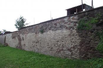  (© Michal Brůža, 05/2011)