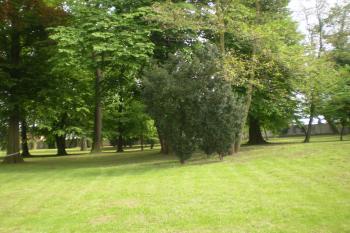 park (© Ludmila Paščenková, 5/2010)