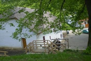 voda na kolo (© Ludmila Paščenková, 5/2010)