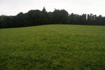  (© Ondřej Gracias, 10/2010)