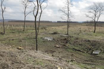 Pohled z motte (© koalix, 03/2014)
