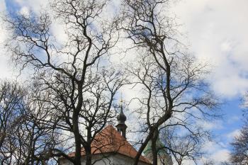  (© Luděk Vláčil, 02/2015)