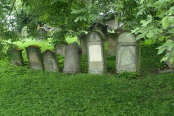  (  © Milan Caha 08/2010)