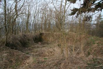 Dochovaná zeď hradu (věže) (© Petr Nožička 03/2011)