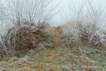 Záp. strana obytné věže (© Dušan Dohňanský 01/2021)