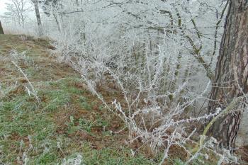 Linie sev. hradby (© Dušan Dohňanský 01/2021)