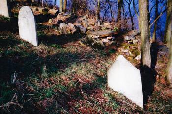  (© Prudký Martin, 01/1999)