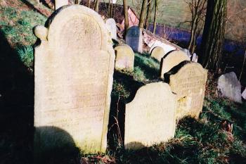  (© Prudký Martin, 01/1999)
