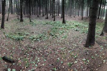 tvrziště od jihovýchodu ( © Pavel Zany Komárek 4. 11. 2010)