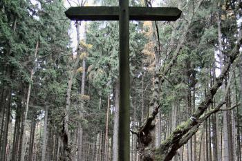 kříž a dvě staré lípy - jediné upomínky na zaniklou ves s kostelem ( © Pavel Zany Komárek 4. 11. 2010)