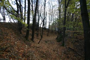 Příkop tvrziště ( © Petr Nožička 10/2010)