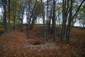 Prohlubeň pravděpodobně po stavbě na tvrzišti ( © Petr Nožička 10/2010)