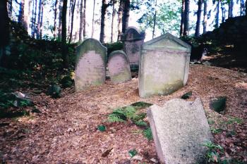  (© Prudký Martin, 06/1998)
