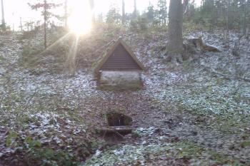Svákovský pramínek (© Jan Bobek, 11/2010)