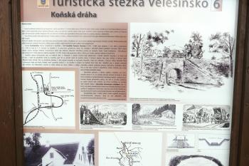 info (© Alena Volná, 8/2008)