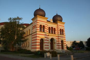  ( © Milan Caha 07/2010)