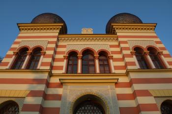  ( © Milan Caha 07/2010)