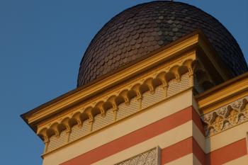  ( © Milan Caha 07/2010)