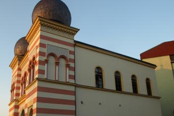  ( © Milan Caha 07/2010)