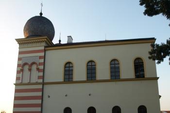  ( © Milan Caha 07/2010)