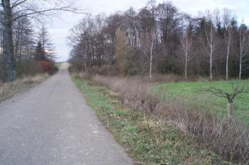  (© Jan Švejkar, 12/2008)