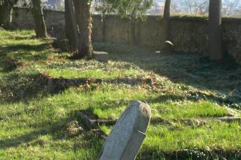  ( © Milan Caha 04/2010)