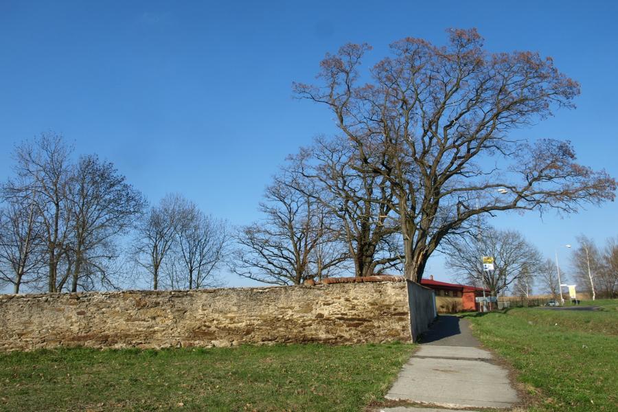 židovský hřbitov