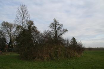 Pohled na pahorek tvrze ( © Petr Nožička 10/2010)