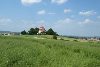  ( © Milan Caha 08/2010)