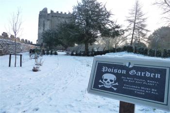 jedová zahrádka (© Jan Ptáček, 12/2010)