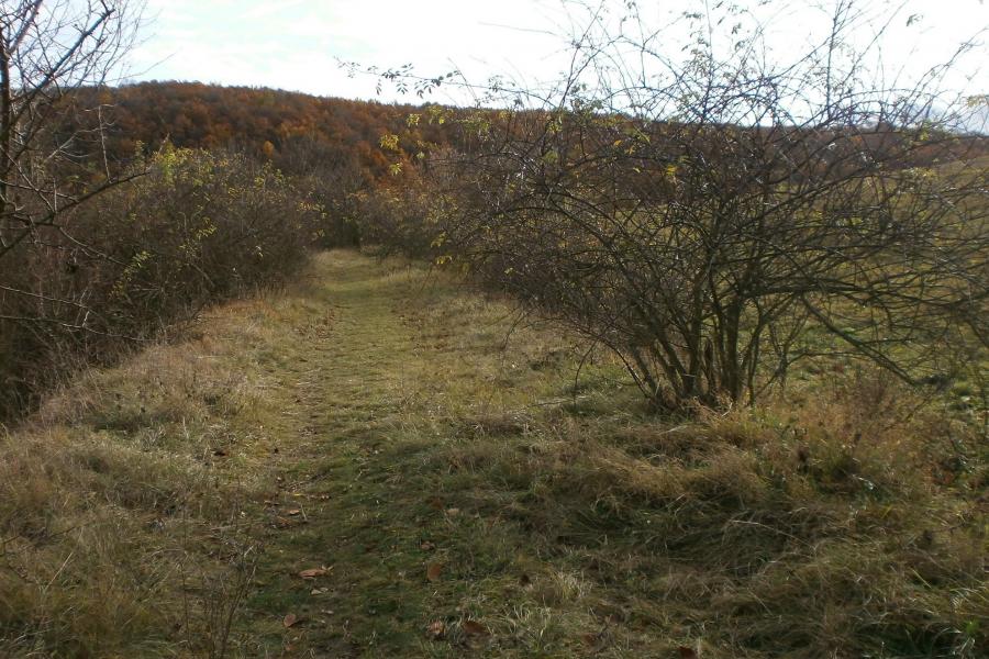 úzkokolejná  trať Králův Dvůr - Beroun - Koněprusy