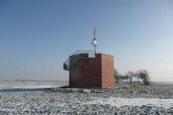 Boční pohled (© David Hamza, 12/2010)