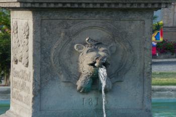  ( © Milan Caha 08/2008)