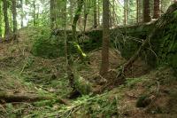 Fort Wilhelma