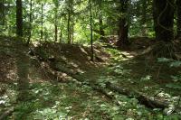 Fort Wilhelma