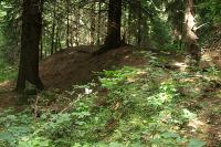Fort Wilhelma